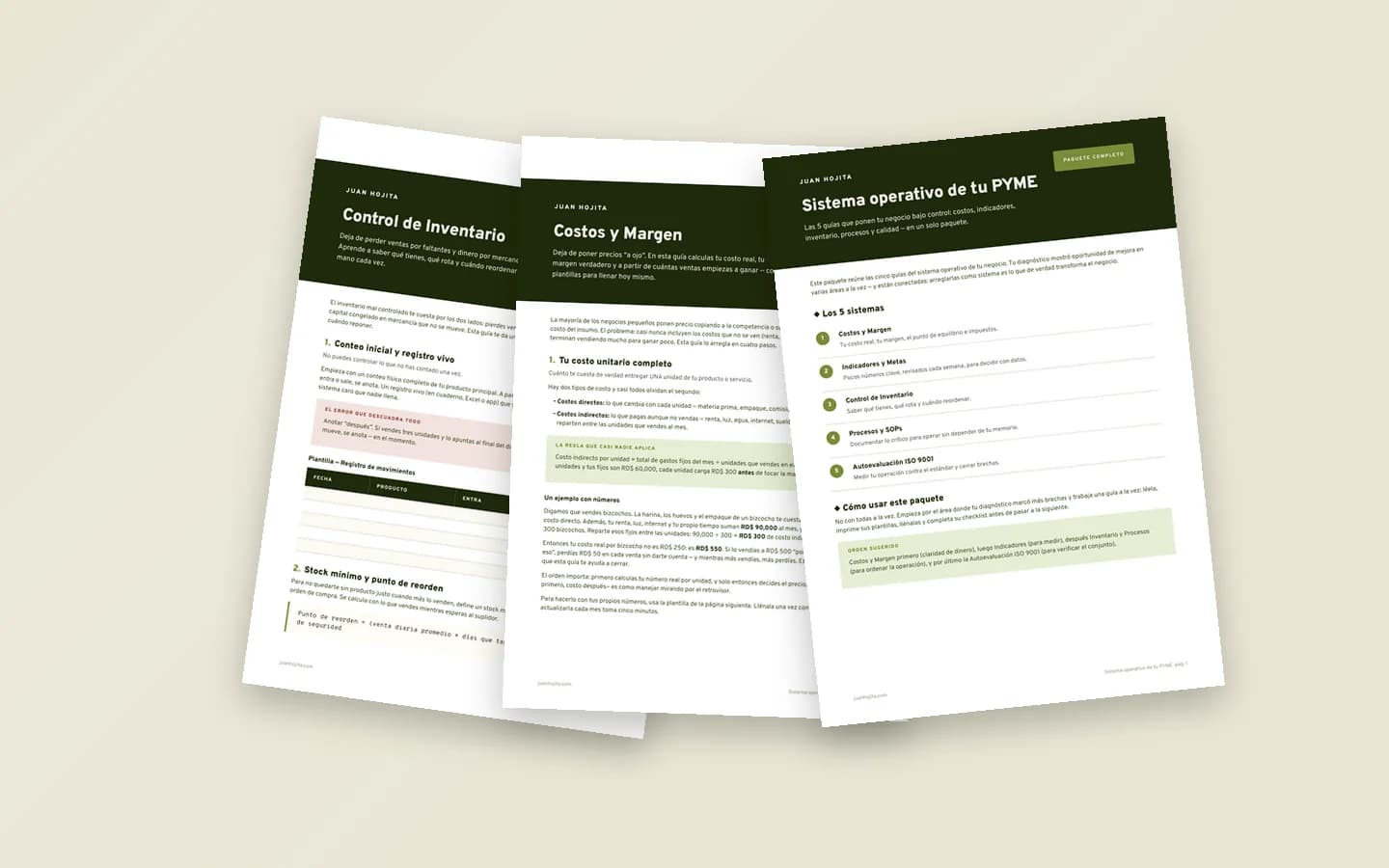 17 páginas en PDF, listas para imprimir