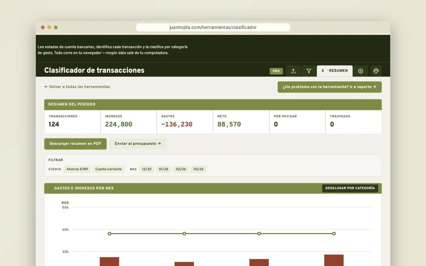 Resumen del período: ingresos, gastos y neto